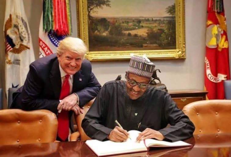 Buhari Trump