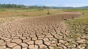 drought effects