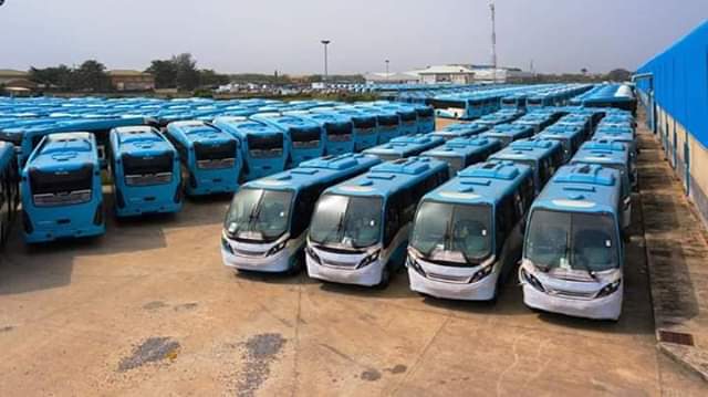 Buses 33