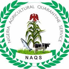 NAQS