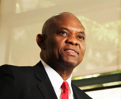 TEF Elumelu